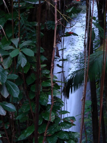 Hawaii Waterfall